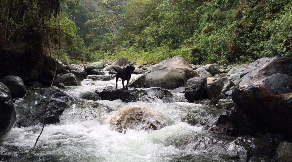 Cali, Colombia, Visiting, Travel, Worthy